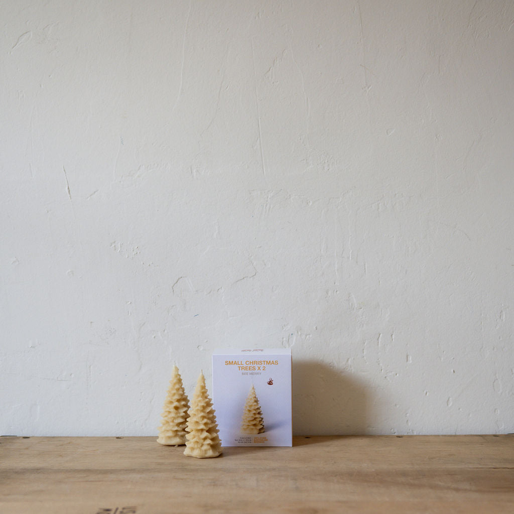 Queen B Small Christmas Trees Pack of 2 | Queen B | Miss Arthur | Home Goods | Tasmania