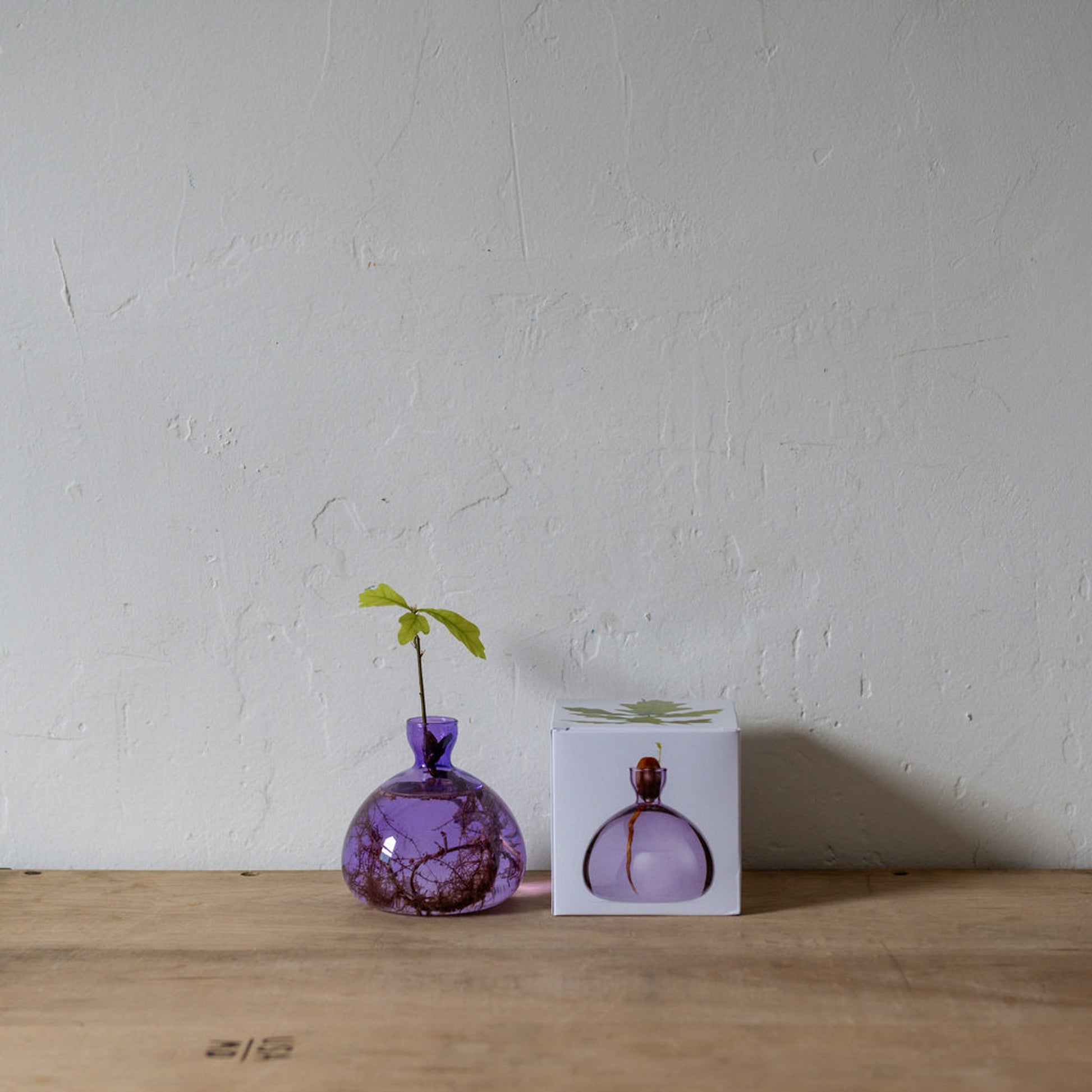 Ilex Studio Acorn Vase Spring Lilac | Ilex Studio | Miss Arthur | Home Goods | Tasmania