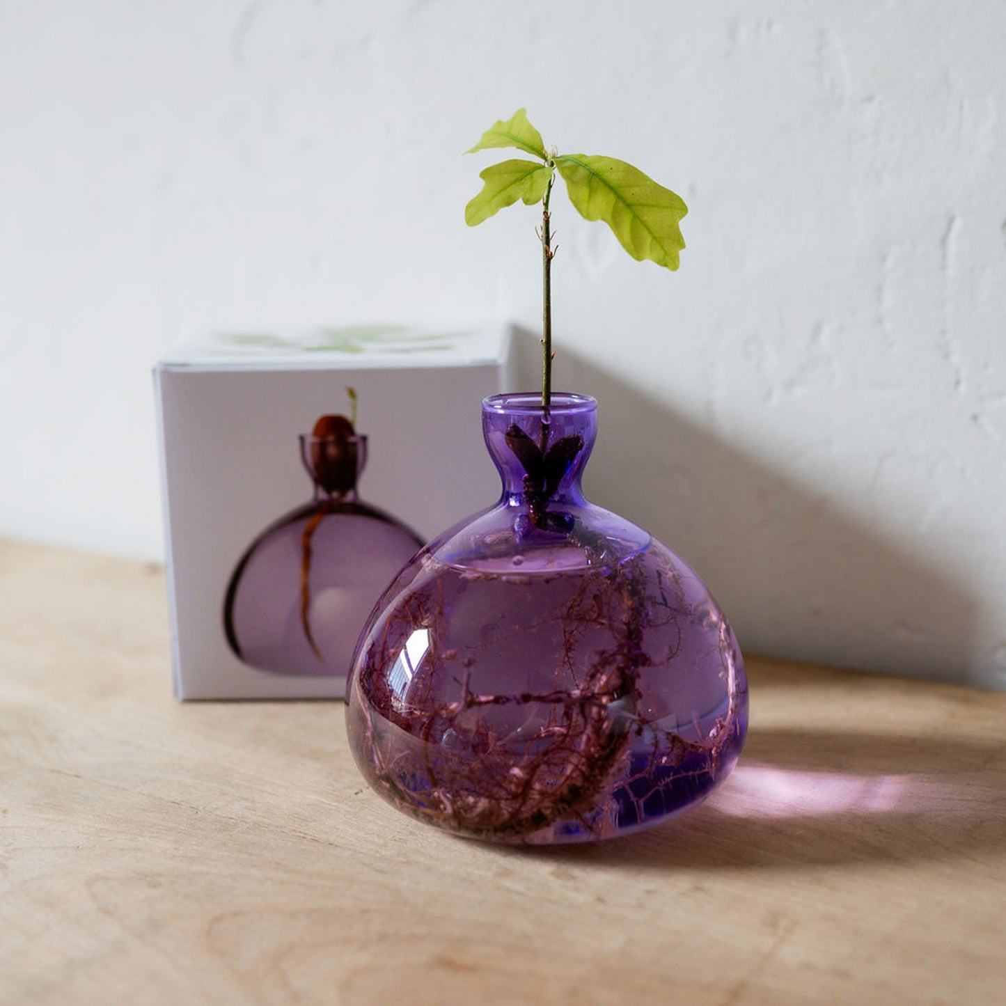 Ilex Studio Acorn Vase Spring Lilac | Ilex Studio | Miss Arthur | Home Goods | Tasmania