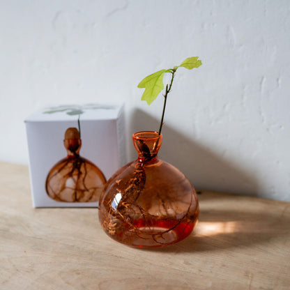 Ilex Studio Acorn Vase Sweet Apricot | Ilex Studio | Miss Arthur | Home Goods | Tasmania