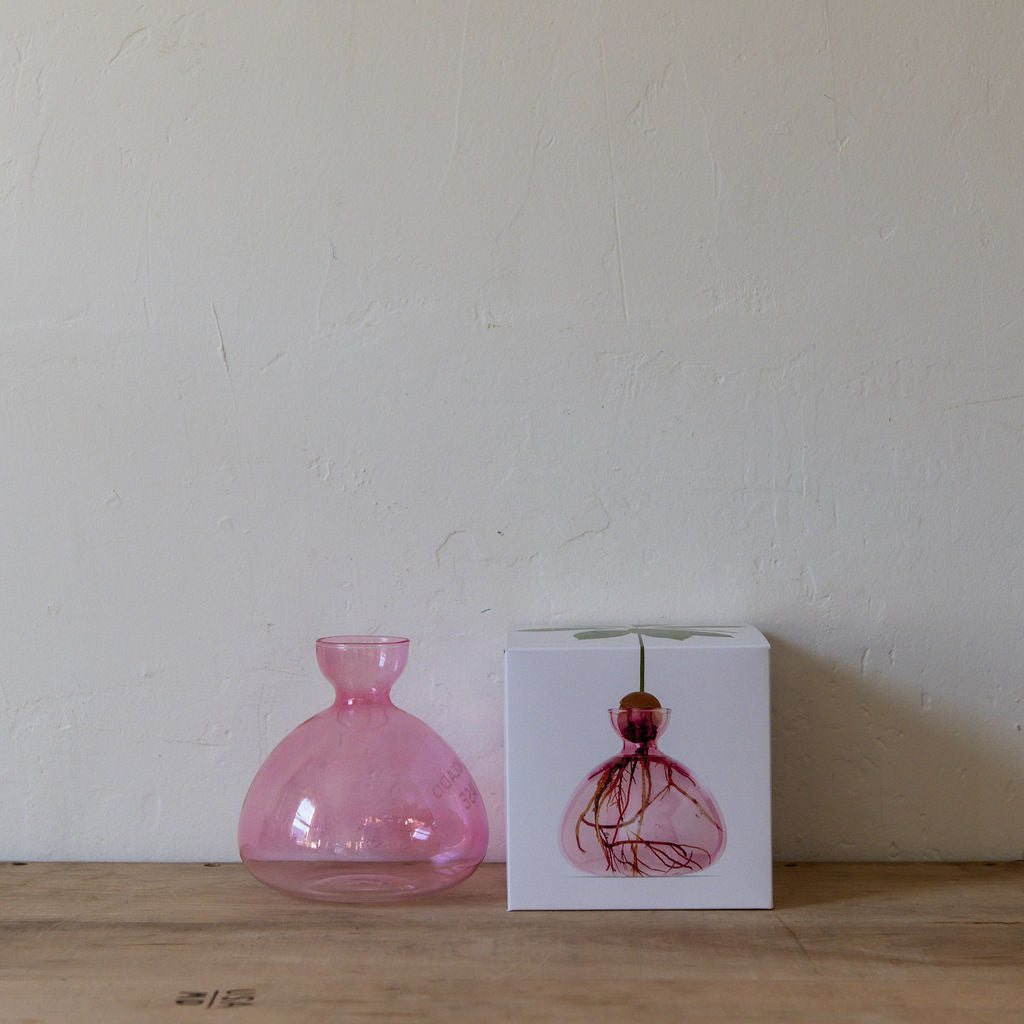 Ilex Studio Avocado Vase Rose Pink | Ilex Studio | Miss Arthur | Home Goods | Tasmania