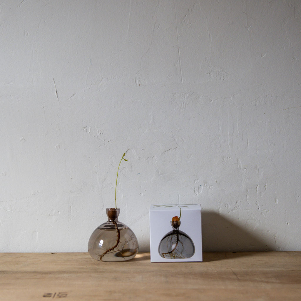Ilex Studio Acorn Vase Smoke Grey | Ilex Studio | Miss Arthur | Home Goods | Tasmania