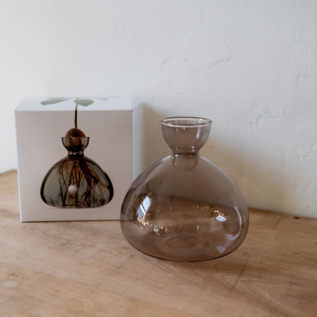Ilex Studio Avocado Vase Smoke Grey | Ilex Studio | Miss Arthur | Home Goods | Tasmania