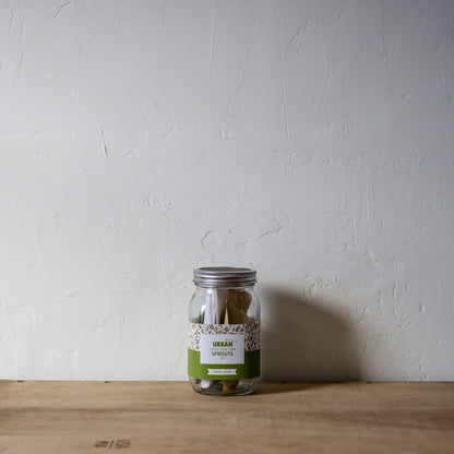 Urban Greens Sprout Jar Kit Mung Bean | Urban Greens | Miss Arthur | Home Goods | Tasmania