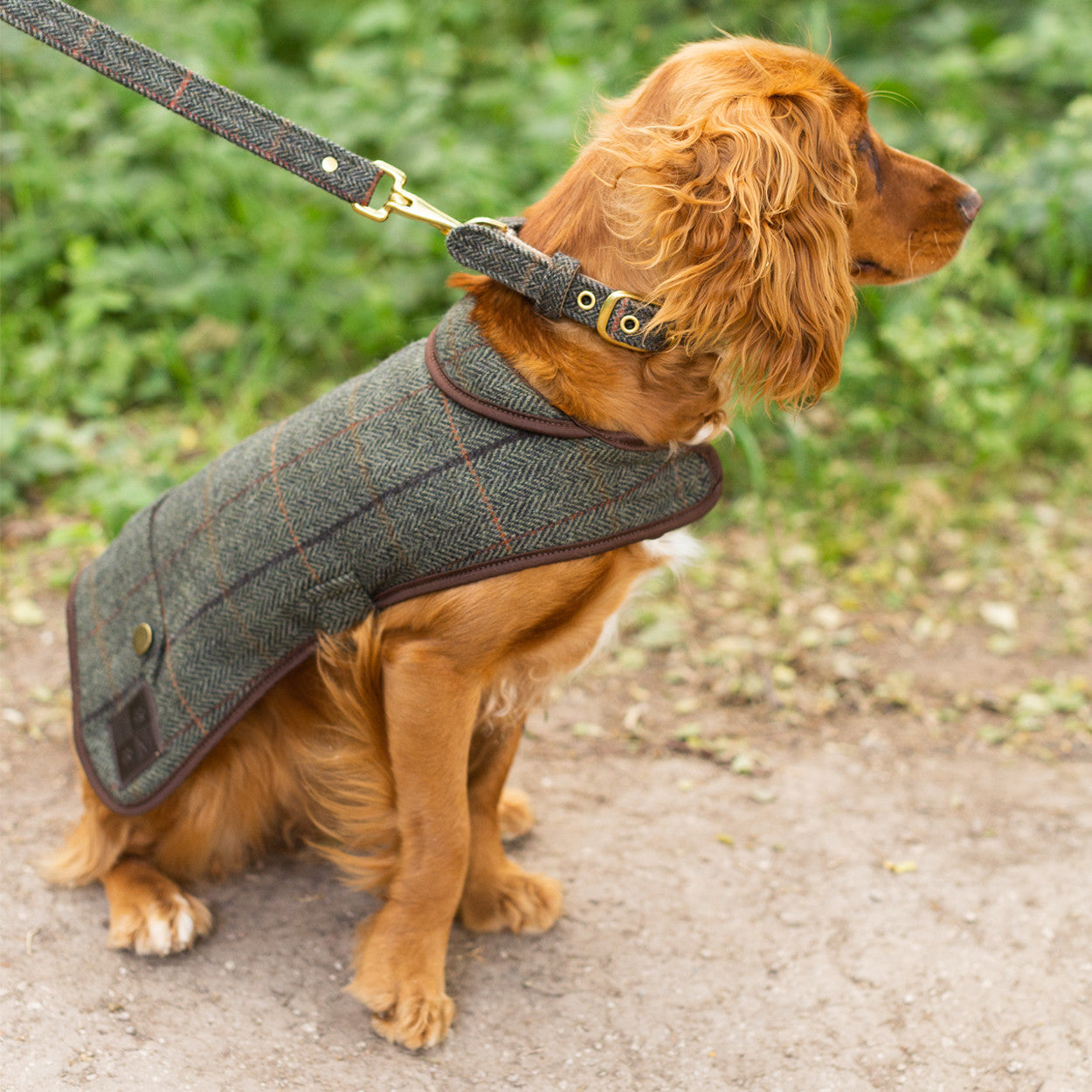 Tweed discount dog jacket